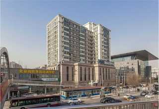 广东拉伸黄铜带厂家