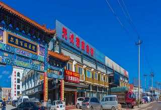 嘉定区公寓绿植租赁上门维护